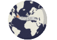 Processing Image